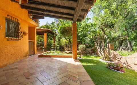 Cordolino Blu: Plant, Property, Botany, Tree, Shade, Building, Grass, Landscape, Real Estate, Leisure