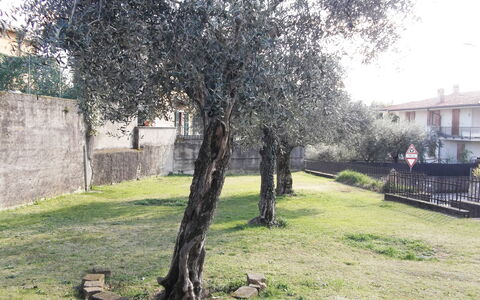 Casa Vacanze Sabrina: Plant, Branch, Land Lot, Tree, Grass, Building, Woody Plant, Tints And Shades, Landscape, Shade