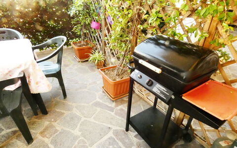 Casa Vacanze Sabrina: Plant, Flowerpot, Flower, Houseplant, Outdoor Furniture, Building, Flooring, Living Room