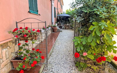 Fattoria Palazzeta - Cecina, Tuscany, Italy