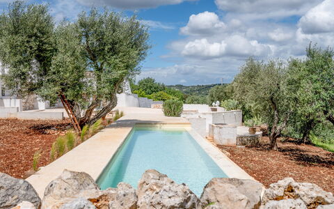 Villa La Selva: Water, Cloud, Property, Plant, Sky, Natural Landscape, Tree, Body Of Water, Swimming Pool, Grass