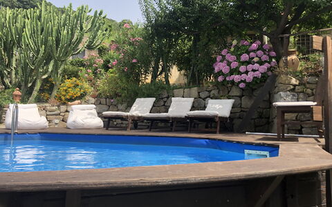 San Noto House With Pool Ac Wifi: Water, Plant, Property, Flower, Nature, Azure, Table, Rectangle, Building, Lighting