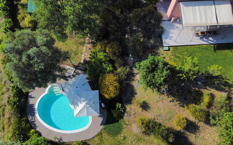 Villa Gelso: Plant, Property, Plant Community, Azure, Land Lot, Biome, Grass, Urban Design, Leisure, Landscape