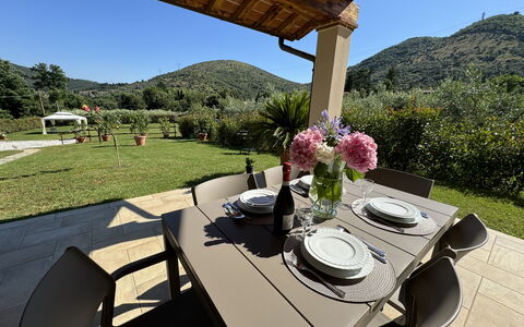 Casa Viviani: Plant, Table, Tableware, Furniture, Sky, Property, Flower, Flowerpot, Chair, Interior Design