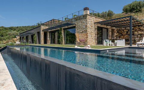 Villa Paradise: Water, Sky, Property, Azure, Body Of Water, Building, Plant, Swimming Pool, Leisure, Tree