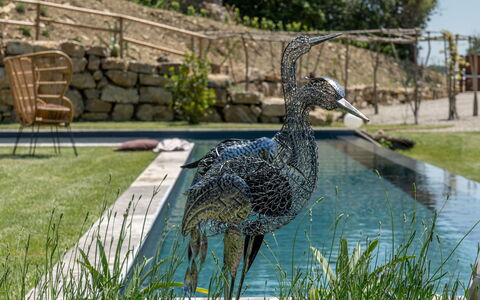 Villa Paradise: Water, Plant, Tree, Bank, Grass