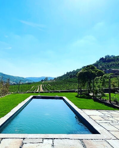 B&b Vigne Di Fagnano Without Kitchen: Water, Sky, Plant, Azure, Natural Landscape, Swimming Pool, Tree, Rectangle, Body Of Water, Cloud
