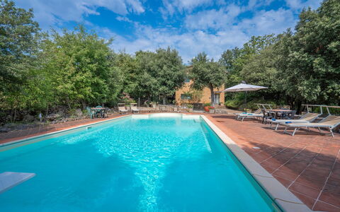 Santa Colomba House, Siena, Nature And Pool: Water, Cloud, Plant, Property, Sky, Swimming Pool, Azure, Tree, Chair, Shade