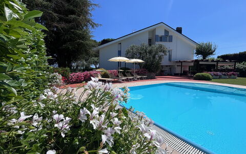 Villapronti: Water, Plant, Flower, Property, Building, Sky, Swimming Pool, Tree, Chair, House