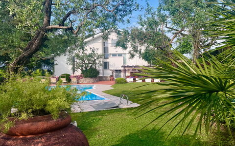 Villapronti: Plant, Building, Natural Landscape, Tree, Botany, Flowerpot, Sky, Architecture, Land Lot, Vegetation