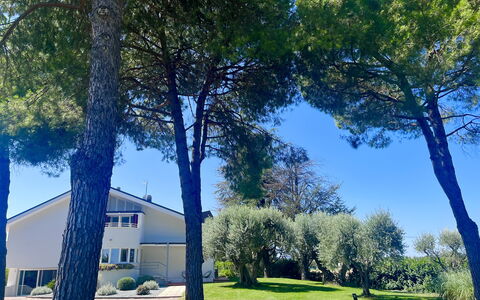 Villapronti: Plant, Property, Sky, Building, Tree, Green, Blue, Shade, Natural Landscape, Branch