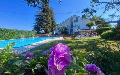 Villapronti: Flower, Plant, Sky, Plant Community, Botany, Leaf, Purple, Vegetation, Natural Landscape, Petal