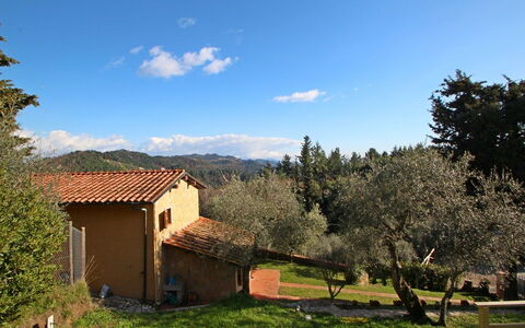 La Maggiolina & La Bastide: Cloud, Plant, Sky, Property, Ecoregion, Natural Landscape, Tree, Natural Environment, Window, Land Lot