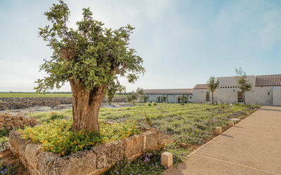 Accommodation:&nbsp;Camera 4 - Matrimoniale Con Vista Giardino - Masse