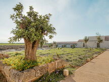 Accommodation:&nbsp;Camera 4 - Matrimoniale Con Vista Giardino - Masse