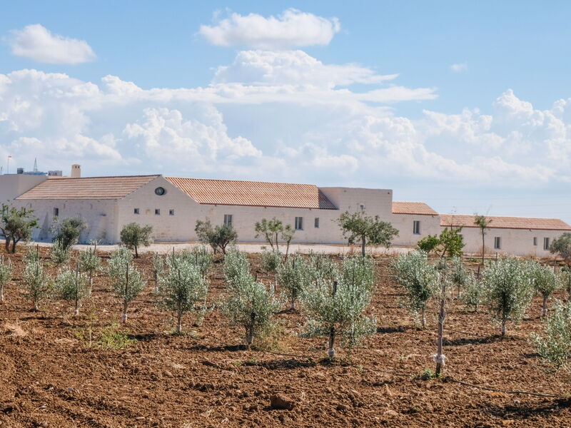 Masseria Vaccaro Boutique Hotel - By Raro Villas