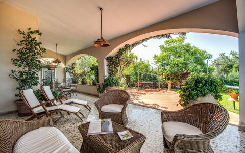 Villa Solaria with Private Pool: Plant, Furniture, Property, Chair, Shade, Wood, Interior Design, Floor, Tree, Real Estate