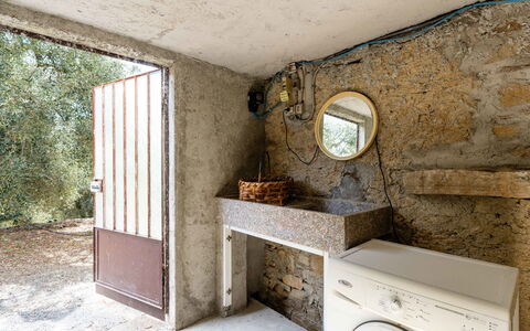 Gravel'S House: Laundry Room, Clothes Dryer, Plant, Washing Machine, Property, Window, Building, Wood, Architecture, Interior Design