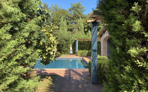 Villa Bongi: Leaf, Green, Shrub, Garden, Shade, Woody Plant, Landscaping, Swimming Pool, Evergreen, Hedge