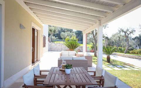 Villa Don Sante In Locorotondo Puglia: Plant, Table, Furniture, Property, Interior Design, Shade, Chair, Building, Houseplant, Tree
