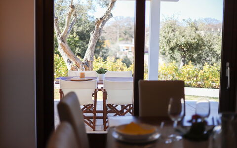 Villa Don Sante In Locorotondo Puglia: Plant, Property, Table, Furniture, Window, Tableware, Leaf, Wood, Lighting, Building