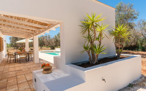 Villa Jolie: Shade, Landscaping, Garden, Eco Hotel, Estate, Design, Hacienda, Villa, Resort