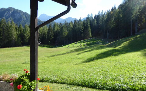 Baita Mountain View Pale San Martino: Green, Groundcover, Spring, Meadow, Garden, Lawn, Pasture, Larch, Landscaping, Valley