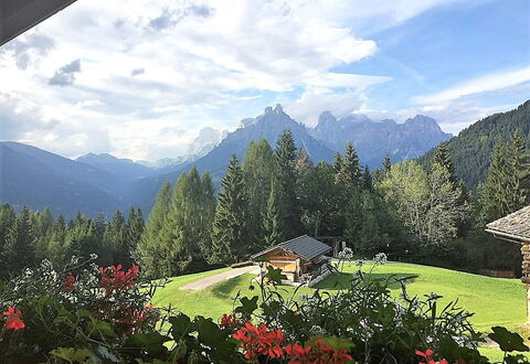 Baita Mountain View Pale San Martino: Cloud, Sky, Flower, Plant, Mountain, Property, Ecoregion, Natural Landscape, Nature, Leaf