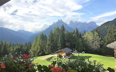 Baita Mountain View Pale San Martino: Cloud, Sky, Flower, Plant, Mountain, Property, Ecoregion, Natural Landscape, Nature, Leaf