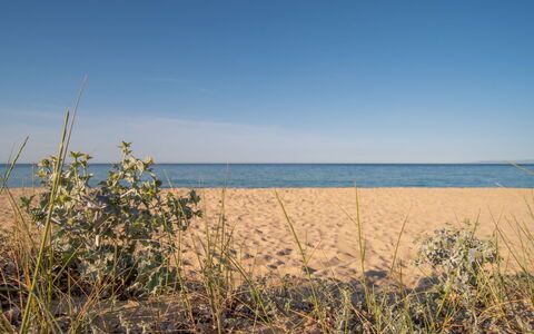 Doxina: Sky, Blue, Daytime, Natural Environment, Horizon, Summer, Ecoregion, Beach, Sea, Sand