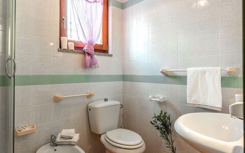 Casa Pavoncelle Apartments In Gallura: Toilet Seat, Plumbing Fixture, Toilet, Bathroom, Interior Design, Flooring, Sink, Floor, Bathroom Sink, Plumbing