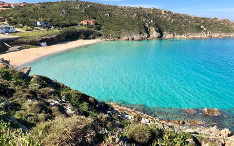 Casa Pavoncelle Apartments In Gallura: Blue, Body Of Water, Coast, Headland, Coastal And Oceanic Landforms, Beach, Cove, Sea, Shore, Promontory