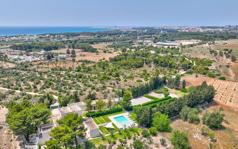 Masseria Ceratonia: Tree, Bird'S-Eye View, Residential Area, Landscape, Aerial Photography, Land Lot, Urban Design, Suburb, Estate, Plantation