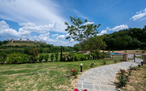 La Capanna, Borgo Campassini, Monteriggioni: Grass, Nature, Landscape, Grassland, Shrub, Land Lot, Plain, Garden, Spring, Plantation