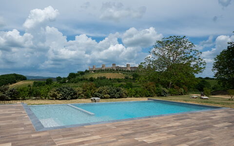 Le Volte, Borgo Campassini, Monteriggioni: Swimming Pool, Garden, Flagstone, Landscaping, Shade, Wood Flooring, Walkway, Backyard, Outdoor Furniture, Tile