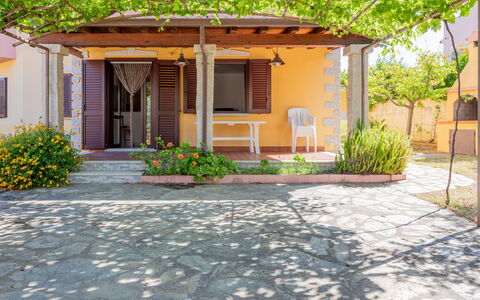Remo: Shade, Door, Flowerpot, Garden, Houseplant, Flagstone, Outdoor Structure, Design, Landscaping, Yard