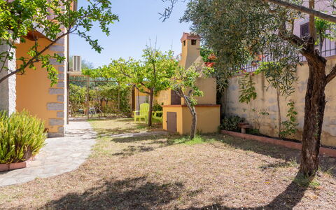 Remo: Wall, Shrub, Garden, Flowerpot, Backyard, Shade, Landscaping, Houseplant, Yard, Flagstone