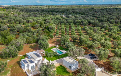 Trullo Brenda: Tree, Bird'S-Eye View, Landscape, Aerial Photography, Plain, Land Lot, Estate, Plantation, Landscaping, Park