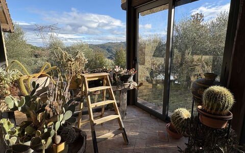 Poggio Aperto: Flowerpot, Garden, Landscaping, Houseplant, Backyard, Outdoor Structure