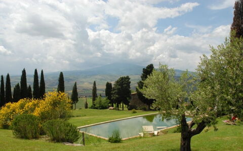 Vallocchie: Tree, Grass, Landscape, Plain, Land Lot, Garden, Landscaping, Meadow, Lawn