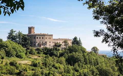 Cascina Tabia: Landscape, Architecture, Land Lot, Castle, Rural Area, Estate, Palace, Tourist Attraction, Medieval Architecture
