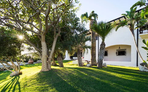 Villa Luna Blu: Tree, Architecture, Shade, Garden, Estate, Landscaping, Hacienda, Resort