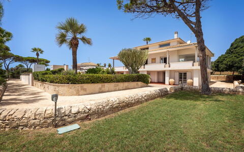 Villa delle Palme: Residential Area, Home, Estate, Mansion, Landscaping, Garden, Hacienda, Balcony, Villa