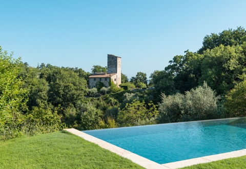 Villa Ugo: Swimming Pool, Shrub, Land Lot, Garden, Landscaping, Lawn, Estate, Water Feature, Shade, Yard