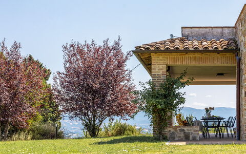 Il Pino Apartment: Natural Landscape, Shrub, Hill, Land Lot, Meadow, Garden, Valley, Landscaping, Ridge