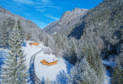 Baita Piciola: Tree, Mountainous Landforms, Mountain, House, Cottage, Home, Mountain Range, Forest, Hill Station