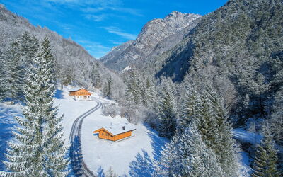 Baita Piciola: Tree, Mountainous Landforms, Mountain, House, Cottage, Home, Mountain Range, Forest, Hill Station