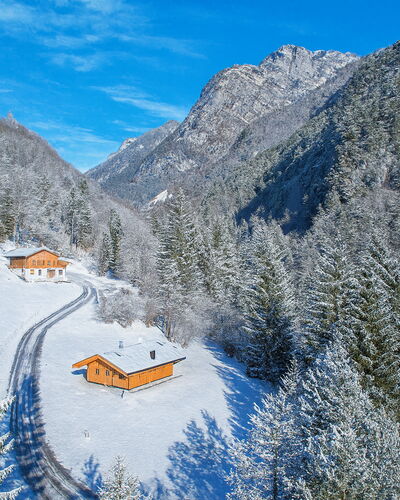 Baita Piciola: Tree, Mountainous Landforms, Mountain, House, Cottage, Home, Mountain Range, Forest, Hill Station