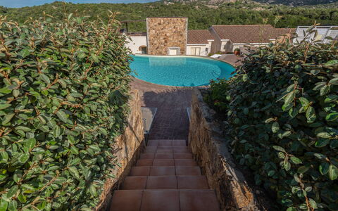 Baia Bianca Apartments Sardinia: Shrub, Garden, Stone Wall, Hedge, Landscaping, Backyard