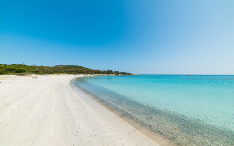San Teodoro Apartments: Blue, Water, Body Of Water, Natural Environment, Beach, Coast, Coastal And Oceanic Landforms, Sea, Shore, Horizon
